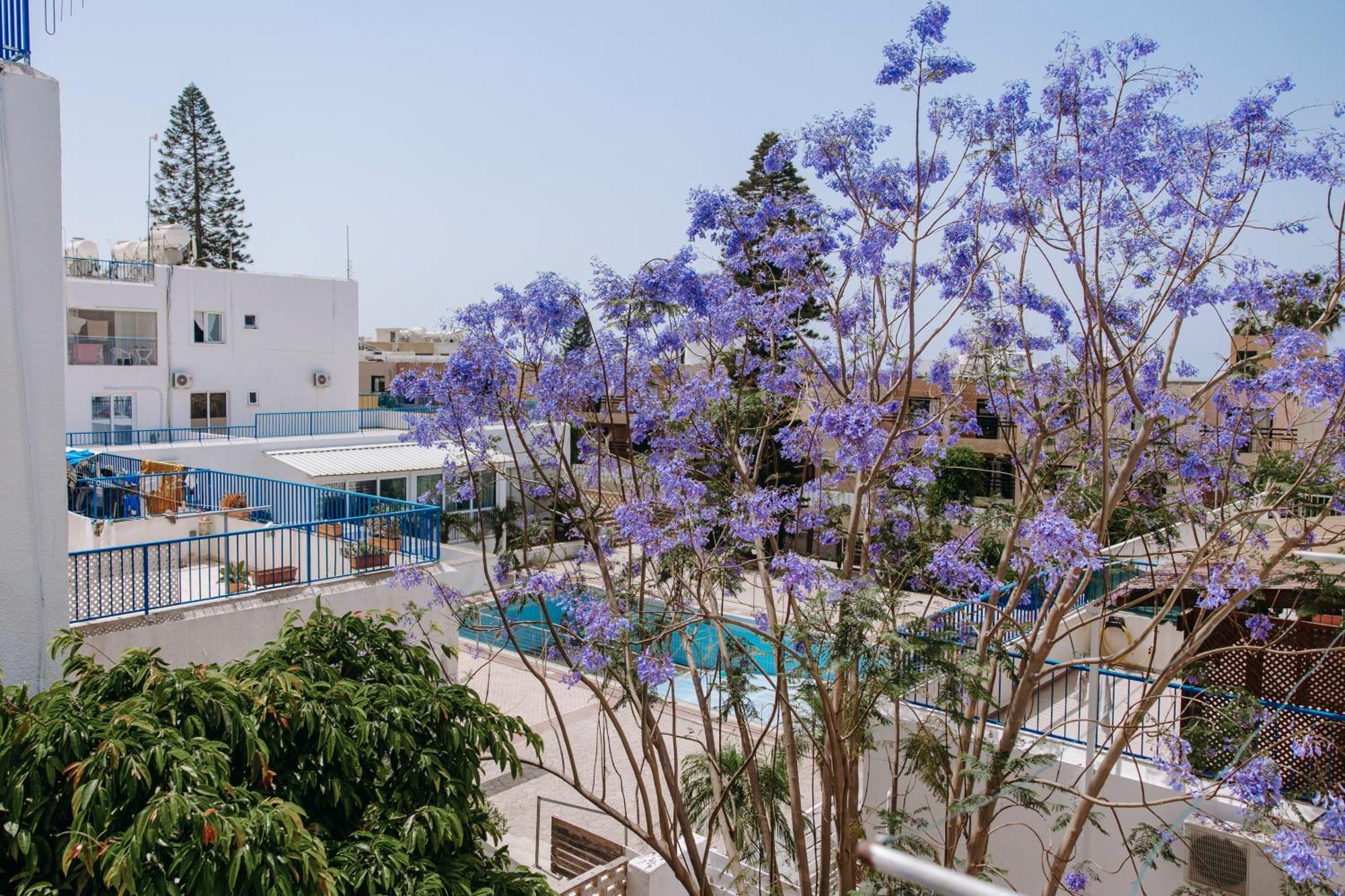 Viking Family Superior Lux Apartment Ayia Napa Exterior photo